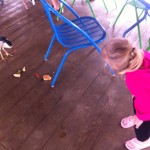 The Bird Eats My Cheeseburger While My Daughter Looks On