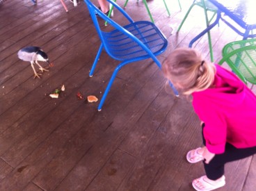 The Bird Eats My Cheeseburger While My Daughter Looks On